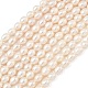 brins de perles de culture d'eau douce naturelles(PEAR-D003-01D-15)-2