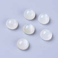 Natural White Moonstone Cabochons, Half Round/Dome, 8x4~5mm(G-L541-01C-8mm)