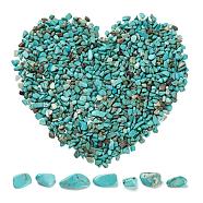 Synthetic Turquoise Chip Beads, No Hole/Undrilled, Dyed, 2~8x2~4mm, 50g, about 850pcs/set(G-FS0001-13)