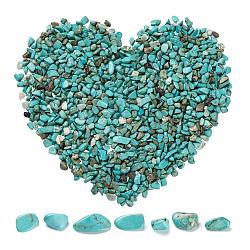 Synthetic Turquoise Chip Beads, No Hole/Undrilled, Dyed, 2~8x2~4mm, 50g, about 850pcs/set(G-FS0001-13)