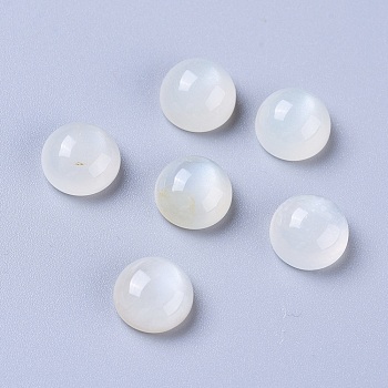 Natural White Moonstone Cabochons, Half Round/Dome, 8x4~5mm