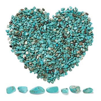 Synthetic Turquoise Chip Beads, No Hole/Undrilled, Dyed, 2~8x2~4mm, 50g, about 850pcs/set