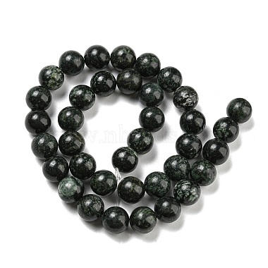 Natural Serpentine Beads Strands(G-P504-10mm-01)-3