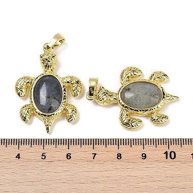 Natural Labradorite & Brass Pendants(KK-F887-01G-05)-3