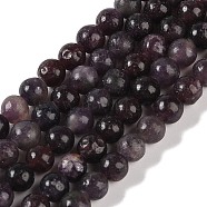 Natural Lepidolite/Purple Mica Stone Beads Strands, Round, 6mm, Hole: 1mm, about 61~67pcs/strand, 15.16''(38.5cm)(G-P530-B06-02)
