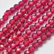 Synthetic Gemstone Beads Strands, Imitation Ruby, Faceted, Round, Camellia, 2mm, Hole: 0.5mm, about 175pcs/strand, 15 inch(G-K207-01B-01)