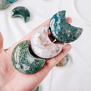Natural Moss Agate Home Display Decorations, Energy Stone Ornaments, Moon, 50~60mm(G-PW0007-121B)