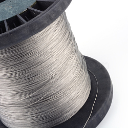 Tiger Tail, Original Color(Raw) Wire, Nylon-coated 201 Stainless Steel, Raw, 23 Gauge, 0.6mm, about 3608.92 Feet(1100m)/1000g(TWIR-S002-0.6mm-1)