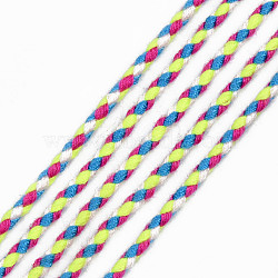 Polyester Braided Cords, Colorful, 2mm, about 100yard/bundle(91.44m/bundle)(OCOR-T015-A19)