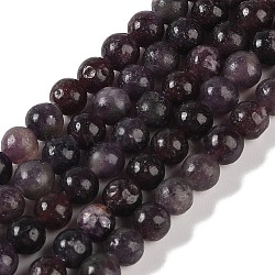 Natural Lepidolite/Purple Mica Stone Beads Strands, Round, 6mm, Hole: 1mm, about 61~67pcs/strand, 15.16''(38.5cm)(G-P530-B06-02)