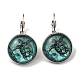 Tortoise Glass Leverback Earrings with Brass Earring Pins(EJEW-Q798-01A)-1