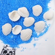 Natural Shell Beads, White, 15~25mm(BSHE-WH0004-03)