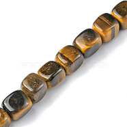 Natural Tiger Eye Beads Strands, Cuboid, 8.5~11x7.5~9x7.5~9mm, Hole: 1.2mm, about 20pcs/strand, 7.72~8.74 inch(19.6~22.2cm)(G-F743-02H)