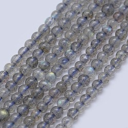 Natural Labradorite Beads Strands, Round, 3mm, Hole: 0.7mm, about 133pcs/strand, 15.75 inch(40cm)(G-I206-46-3mm)