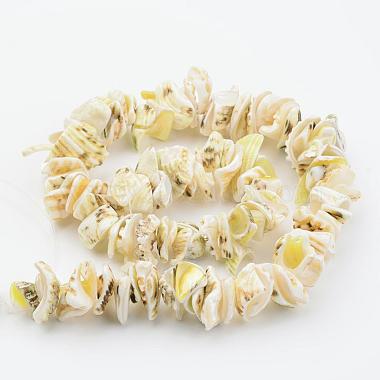 Hebras de perlas shell naturales(BSHE-P010-02)-2