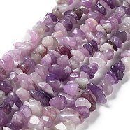 Natural Lepidolite/Purple Mica Stone Beads Strands, Chip, 5~8x5~8x5mm, Hole: 0.8mm, 31.50~32 inch(80~83cm)(G-P497-03A-06)