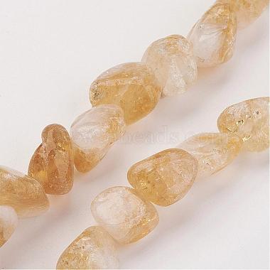 Natural Gemstone Nugget Citrine Bead Strands(G-F156-01)-3