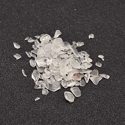Natural Quartz Crystal Chips Beads, Rock Crystal Beads, No Hole/Undrilled, 3~9x1~4mm(G-L453-10)