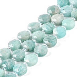 Natural Amazonite Beads Strands, with Seed Beads, Faceted Hexagonal Cut, Flat Round, 10~11x5~6mm, Hole: 1mm, about 30~31pcs/strand, 14.57~14.96 inch(37~38cm)(G-N342-18)