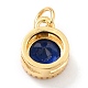 Real 18K Gold Plated Brass Inlaid Cubic Zirconia Charms(ZIRC-L100-081G-08)-3