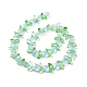 Transparent Glass Beads Strands(LAMP-H061-02I)-3