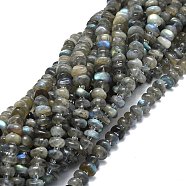 Natural Labradorite Beads Strands, Irregular Rondelle, 7~12x7~9x2~6mm, Hole: 0.8mm, about 68pcs/strand, 15.35''(39cm)(G-E576-58)