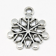 Tibetan Style Alloy Pendants, Snowflake, Cadmium Free & Nickel Free & Lead Free, Antique Silver, 20x17x1.5mm, Hole: 2mm, about 890pcs/1000g(TIBE-S301-049AS-NR)