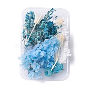 Dried Flowers, DIY Candle Soap Making Accessories, with Plastic Rectangle Box, Sky Blue, 2.4~14.5x1.7~13.1cm(X-DIY-D052-10)