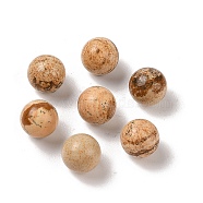 Natural Picture Jasper No Hole Sphere Beads, Round, 10mm(G-K353-04A-15)