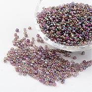 Round Glass Seed Beads, Trans. Colors Rainbow, Misty Rose, Size: about 3mm in diameter, hole: 1mm, about 1102pcs/50g(X-SEED-A007-3mm-176)