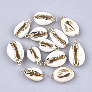 Electroplate Cowrie Shell Pendants, with Iron Findings, Golden, Golden, 18~24x10~14x6~7mm, Hole: 1.5mm(SHEL-S266-04A)