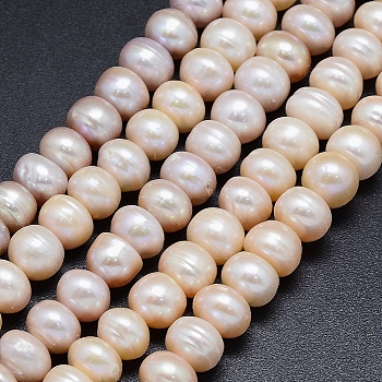 Natural Cultured Freshwater Pearl Beads Strands, Rondelle, Blanched Almond, 9~10x6~7mm, Hole: 0.8mm, about 54pcs/strand, 14.9 inch(38cm)