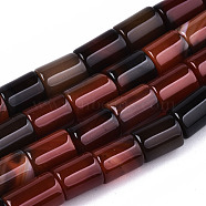 Natural Agate Beads, Strands, Dyed, Column, Coconut Brown, 11.5~12.5x8.5mm, Hole: 1.2mm, about 33pcs/strand, 15.35 inch(39cm)(G-T131-71)