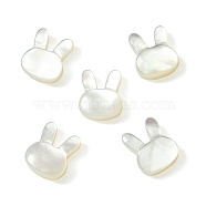5Pcs Natural White Shell Beads, Rabbit, Seashell Color, 12x10x4mm, Hole: 0.7mm(BSHE-CJ0001-06)