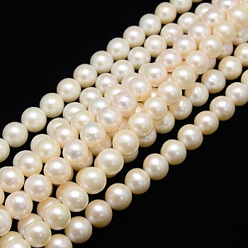 Natural Cultured Freshwater Pearl Beads Strands, Round, Creamy White, 11~12mm, Hole: 0.8mm, about 38pcs/strand, 14.96 inch~15.74 inch