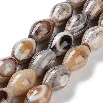 Natural Eye Agate Beads Strands, Striped Agate/Banded Agate Beads, Dyed & Heated, Rhombus, 20~21x15mm, Hole: 1.4~1.8mm, about 19pcs/strand, 15.08''(38.3cm)