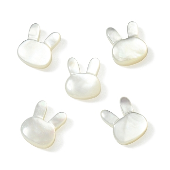 5Pcs Natural White Shell Beads, Rabbit, Seashell Color, 12x10x4mm, Hole: 0.7mm