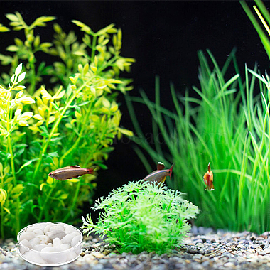8Pcs 2 Style Transparent Acrylic Aquarium Shrimp Feeding Dishes(AJEW-GO0001-01)-4