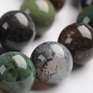 Round Natural Indian Agate Gemstone Bead Strands, 10mm, Hole: 1mm, about 38pcs/strand, 14.9 inch(G-J333-07-10mm)