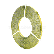 BENECREAT Aluminum Wire, Flat Craft Wire, Bezel Strip Wire for Cabochons Jewelry Making, Green Yellow, 5x1mm, about 10m/roll(AW-BC0003-34B-03)
