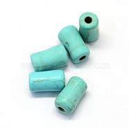 Synthetic Turquoise Gemstone Beads, Column, Turquoise, 13.5~14x8mm, Hole: 2.8mm(TURQ-S283-09)