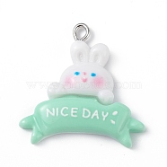Opaque Resin Pendants, Rabbit Charms, with Platinum Tone Iron Loops, Rabbit, 29x29x5.5mm, Hole: 2mm(RESI-D064-02P-08)