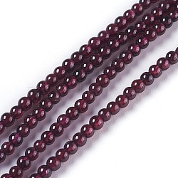 Natural Garnet Beads Strands, Round, 2.5~3mm, Hole: 0.8mm, about 143pcs/strand, 15.47 inch(39.3cm)(G-L493-01)
