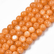 Natural Freshwater Shell Beads Strands, Dyed, Round, Sandy Brown, 4mm, Hole: 0.8mm, about 97~99pcs/strand, 14.88 inch~15.16 inch(37.8~38.5cm)(SHEL-N003-24-B07)