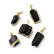 Natural Black Tourmaline Pendants, Nuggets Charms, with Brass Findings, Cadmium Free & Lead Free, Golden, 16~27.5x9.5~17x7~11.5mm, Hole: 5x8mm(G-G977-01G)