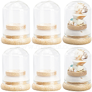 Clear Glass Dome Cover, Decorative Display Case, Cloche Bell Jar Terrarium with Bamboo Base, Clear, 3.25x4.65cm, Inner Diameter: 2.45cm, Capacity: 18ml(0.61fl. oz), 10pcs/box(CON-SC0001-05A)