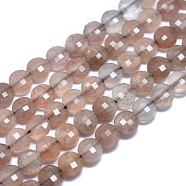 Natural Sunstone Beads Strands, Faceted, Flat Round, 4x2.5mm, Hole: 0.8mm, about 93pcs/strand, 15.15 inch(38.5cm)(G-E530-07C)