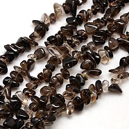 Chips Natural Smoky Quartz Beads Strands, 8~14x4~8x3~6mm, Hole: 1mm, about 15~16 inch(X-G-P030-03)