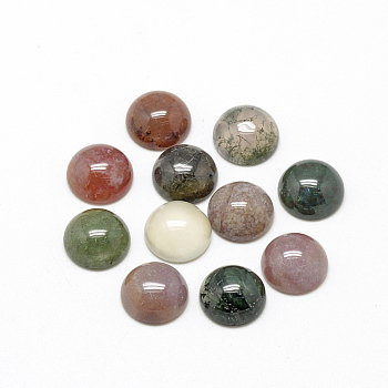 Natural Indian Agate Cabochons, Half Round/Dome, 12x5mm