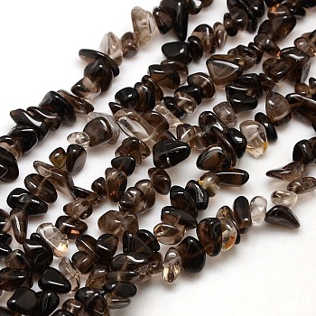 Chips Natural Smoky Quartz Beads Strands, 8~14x4~8x3~6mm, Hole: 1mm, about 15~16 inch
